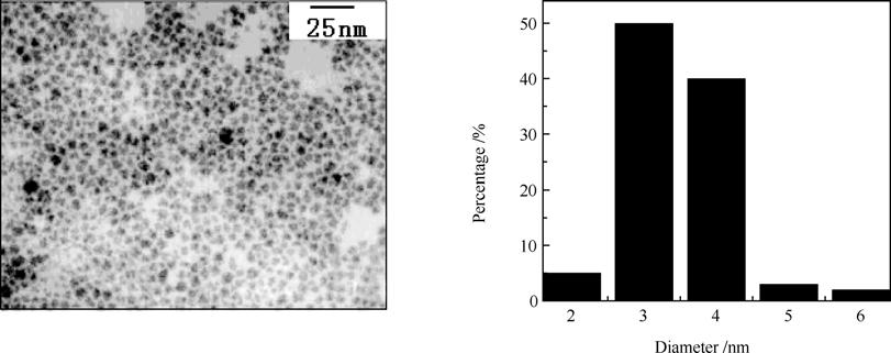 381 Fig. 2 TEM image of a sample of CdSe quantum dots, and the corresponding size distribution histogram the nanoparticles.