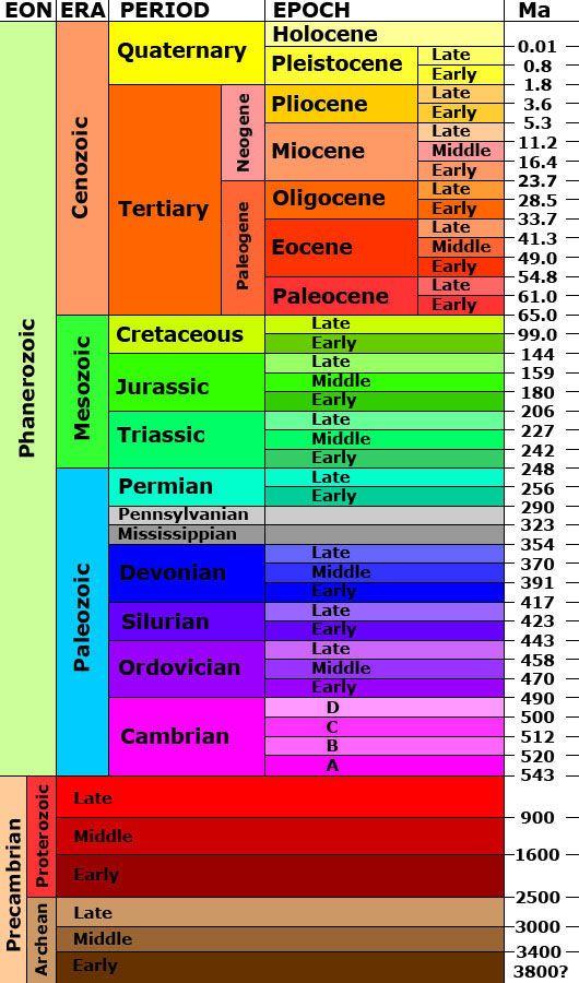 Geologic Time Scale Divides Earth s history into