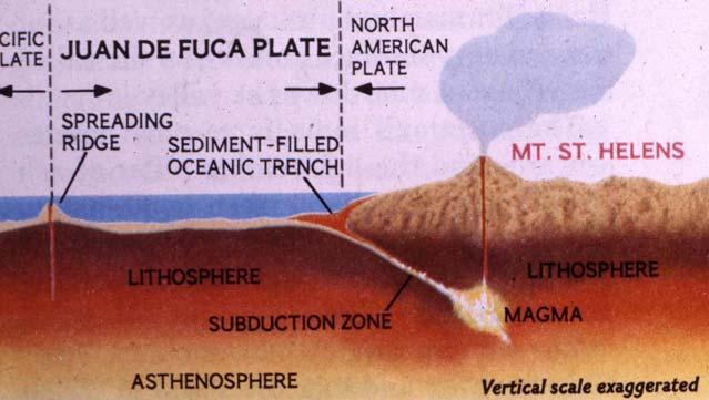 (Figure 3) Note that there is no volcanism associated with the San Andreas Strike-slip plate boundary between the Pacific and North American plates, and that there is no volcanism associated with the