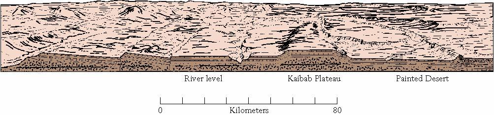 Cenozoic Tectonics 1) Basin and Range 2) Colorado