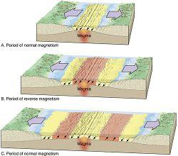 Oceanic crust preserves a record of Earth s magnetic polarity at the time the crust formed Normal magnetic field Reversed magnetic field Normal magnetic field New