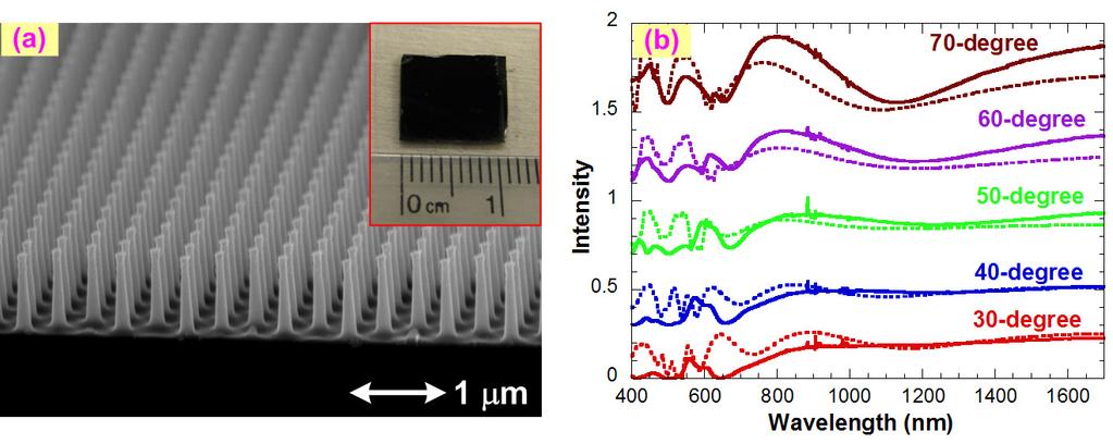 Figure 7 (a) SEM picture and photograph of resultant silicon nanopillar array sample (b) Measured (solid) and calculated (dash) reflection spectra at different incident angles along the ΓM-direction