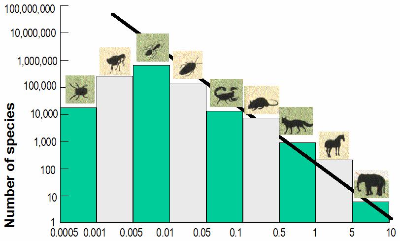 Characteristic size (meters) As Robert May (Scientific American, October 1992) has argued, most of the species display a predictable relation between physical