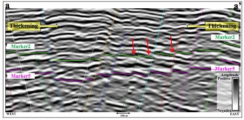 The thickening of sediment downward into the graben is the result of slight fault movement during deposition (Figure 7).