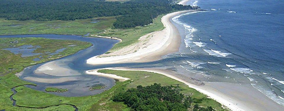 What is an estuary? Why are they so important?