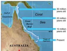 Coral Reef Development Fringing reefs develop