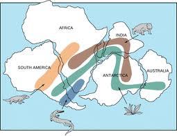 Evidence for Pangaea l http://www.