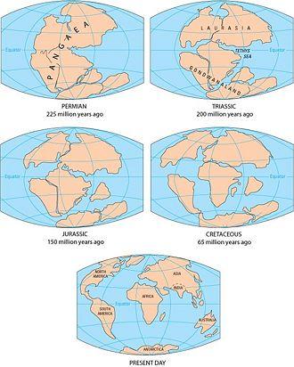 Section 2 Restless Continents Objectives Describe Wegener's hypothesis of continental drift. Explain how see floor spreading provides a way for continents to move.