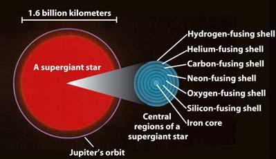 supernova explosions A high-mass star dies in a violent cataclysm in which its core collapses and most