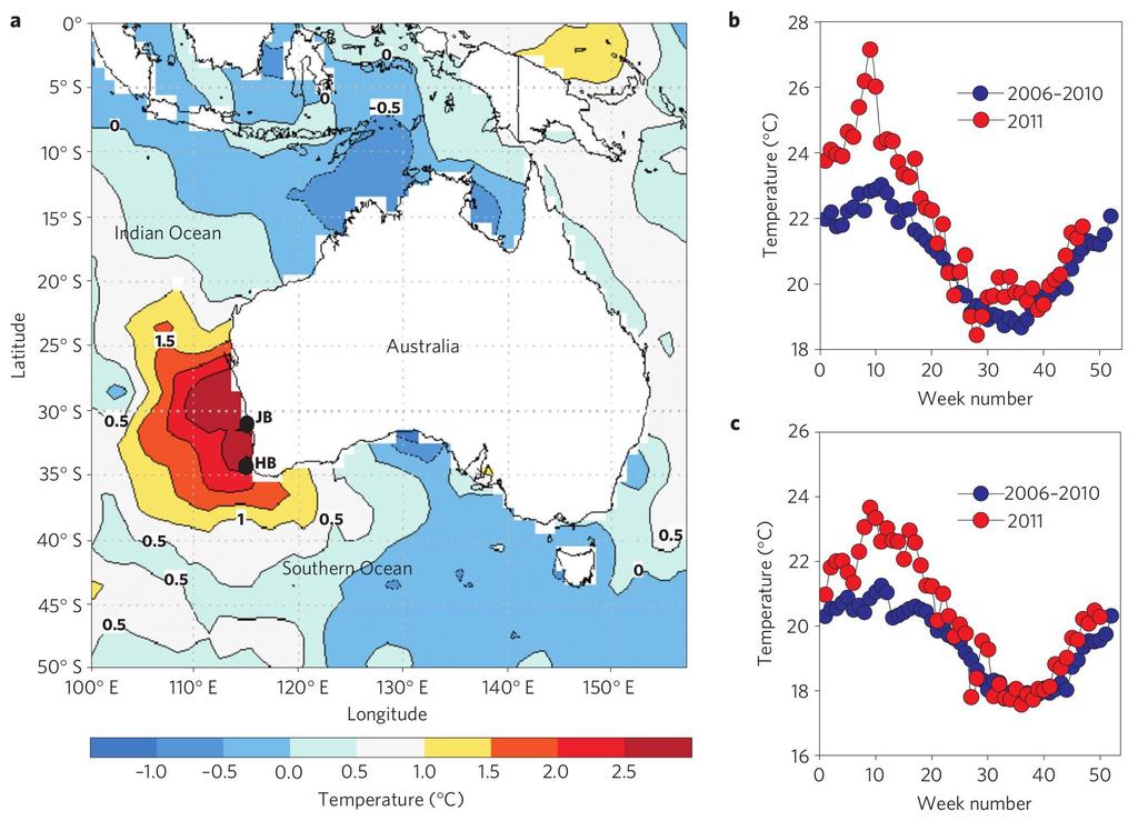 Western Australia 2011 In summer 2010/2011 an unprecedented marine heat wave was documented off Western Australia Sea surface temperature (SST) anomalies peaked at 3OC above the expected value (from