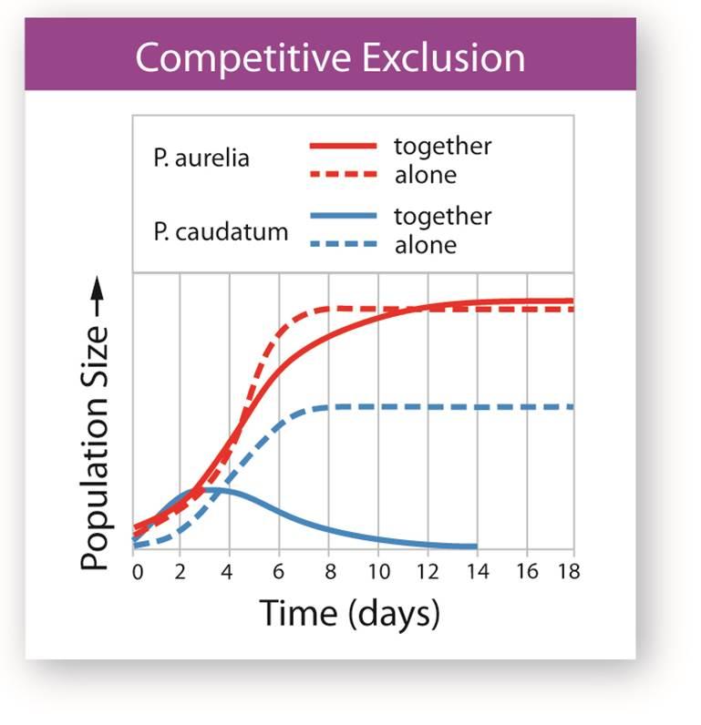 Competitive Exclusion Principle No two species can occupy exactly