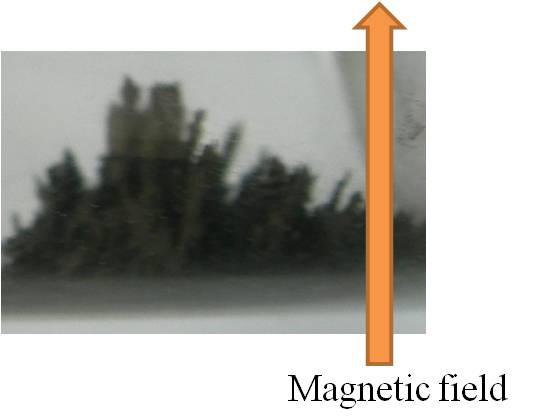 MEA method. Figure S6. OM images of magnification of Fig 2c.