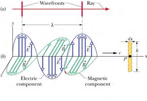 Mathematical Description of Traveling EM Waves Electric Field: E = E ( kx "! t) m sin Magnetic Field: B = B ( kx "! t) m sin Wave Speed: c = 1 µ!