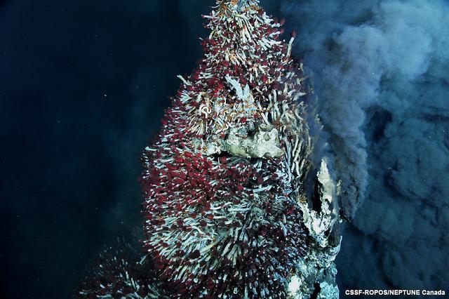 Hydrothermal Vents Hydrothermal vents are places underwater where hot water and chemicals are released into the ocean.