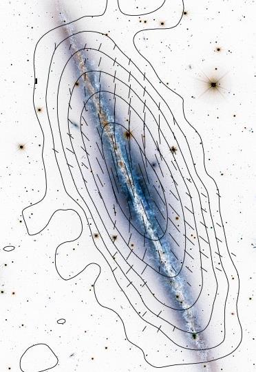 Milky Way-type galaxy NGC 891 (Effelsberg 8 GHz) Krause