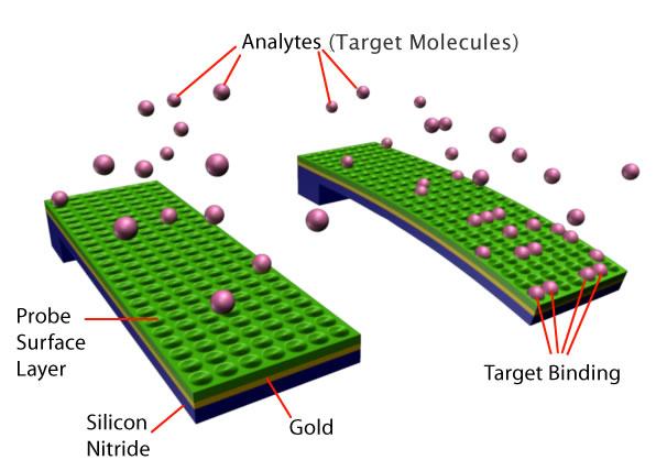 Surface Reaction Surface Reaction between Analytes and Probe Coating Molecules Surface reaction is when the analytes are confined to the surface of the probe coating.