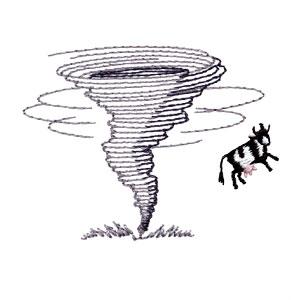 ) Tornadoes (funnel-shaped cloud) Strong, whirling winds in a funnel- shaped cloud When a
