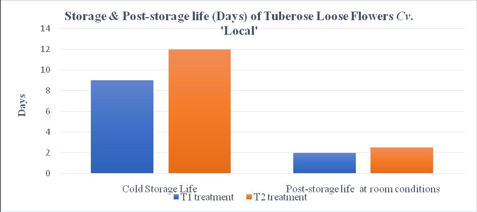 Graph.1 Storage and Post-storage life (Days) of Tuberose Loose Flowers Cv.