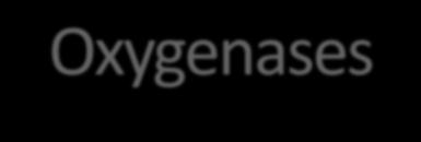 1d. Oxygenases Oxygenases catalyze substrate oxidation by molecular oxygen.
