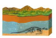 Scientists may find a 100-million-year-old dinosaur footprint.