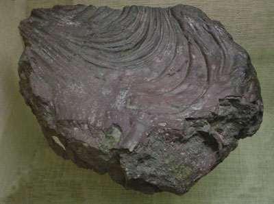 Minerals form from Cooling Magma