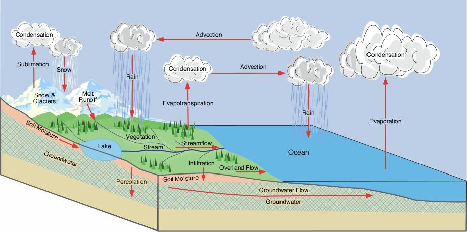 Hydrological Cycle Water vapour in atmosphere (GHG), cloud cover, volume,