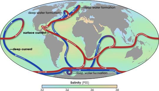Global Circulation - Ocean Currents Caused by changes in water