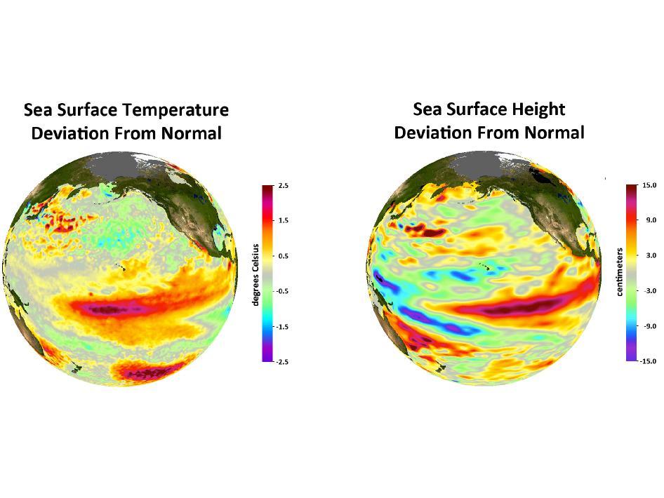 Eg. El Nino Effects Result from a Combination of Ocean Circulation and Atmospheric Circulation See web site: http://sealevel.jpl.nasa.