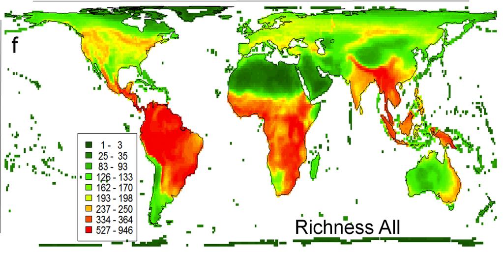 Bird Species richness per 110x110