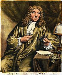 1665 Robert Hooke