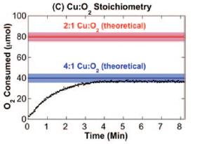 Chan-Evans-Lam Coupling determining reaction stoichiometry B 5 mol% Cu(Ac) 2 1 atm 2, 27 C, 6h B() 2 () 88% 12% Cu and 2 stoichiometry determined from anaerobic single-turnover
