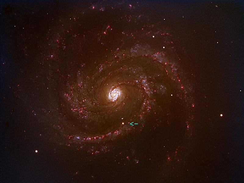 SN2006X in Galaxy M100 (near Coma