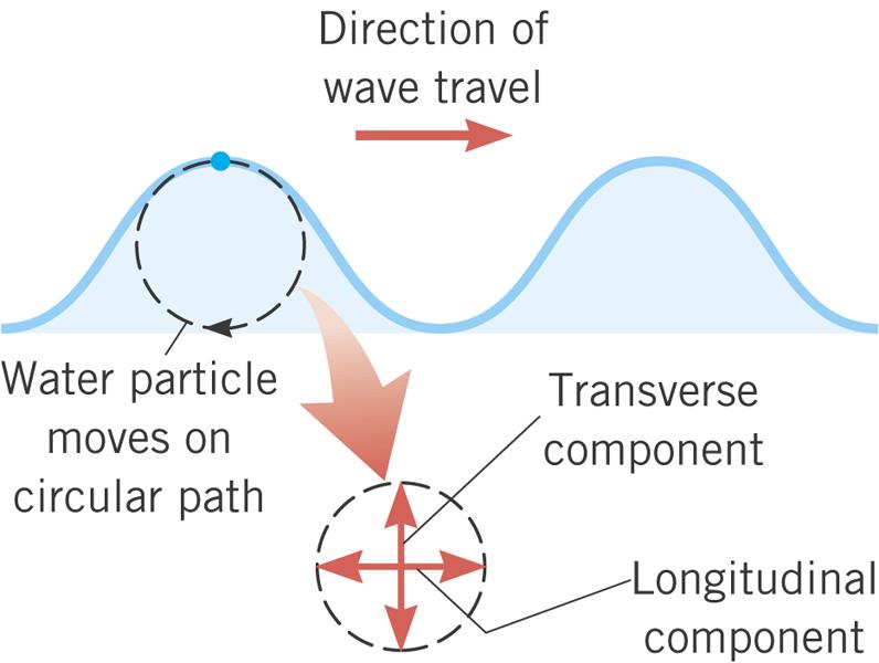 16.1 The Nature of Waves Water waves are