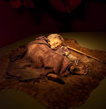 floresiensis and Lagar-Velho suspected hybrid.