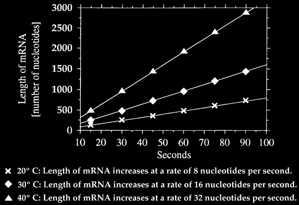 TPI 6: RATES, REATIN RATES, AND Q 10 / Page 97 EXERISE II: You are studying the rate at which Polymerase II transcribes DNA into mrna. You do the following: 1.