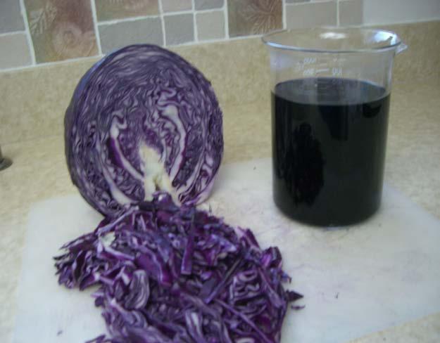 Teacher Preparation Juice: Boil one medium-sized, sliced red cabbage in 2 gallons water, 30 min. Remove cabbage/collect juice/refrigerate.