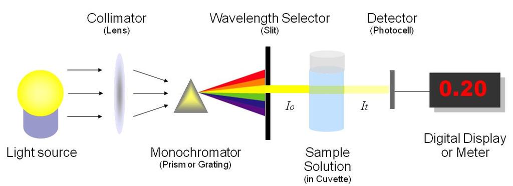 Devices and mechanism Figure 1 illustrates the basic structure of spectrophotometers.