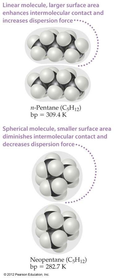 Factors Affecting London Forces The shape of the molecule affects the strength of dispersion forces: long, skinny molecules (like n-pentane) tend to have stronger