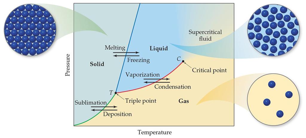 Phase Diagram A phase diagram is a graph showing states of matter under conditions of