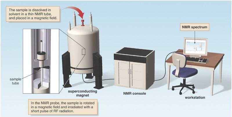 NMR Spectrometer NMR spectrometers are akin to both a radio station and recording studio.