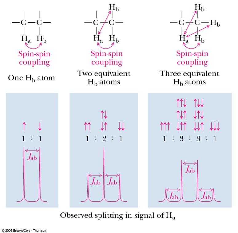 The Origin of Spin-Spin Splitting Different numbers of equivalent adjacent nuclei will cause different splitting