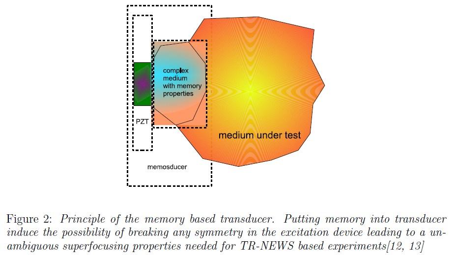 Strategies for TR-NEWS focusing improvement and nonlinear measurements : memristive transducer S.