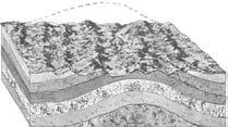 The unconformity that results when new layers form on tilted layers is called an angular unconformity. 3. Identify What are gaps in the rock layers called?