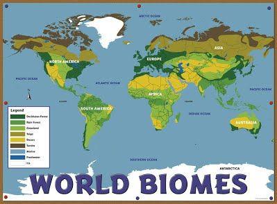 Biomes of