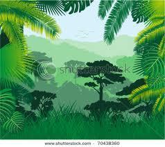 forests 61. Why does 2% of the abundant sunlight hardly reach the ground? 62. In what areas does the sunlight reach the ground in the rainforests? 63.