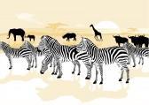 71. How do humans and elephants create savannahs? Now click on animals under tropical savannahs 72. List 7 of the 14 animals listed as examples of the African savannah. 73.
