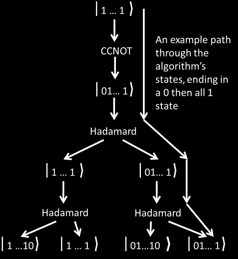 Then, if there are h Hadamard gate, at the end of the computation there will be 2 h branches, each corresponding to a different path through the circuit (even though some of the paths may give the