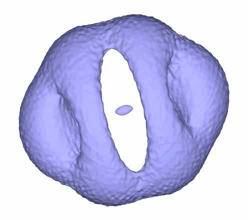 Tomographic Reconstruction of Sculptured 3D Electron