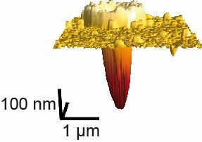 5; 1/e 2 diameter: 1.4 µm; 1/e 2 length: 9.