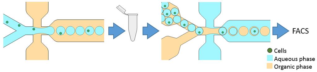 Summary Very high throughput can be achieved in molecular biology reactions by emulsifying or dropletising the reaction in an oil carrier, so that millions of droplets each behave as discrete